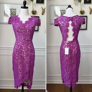 NWT L’ Atiste by Amy Violet Purple Lace Cocktail Dress M